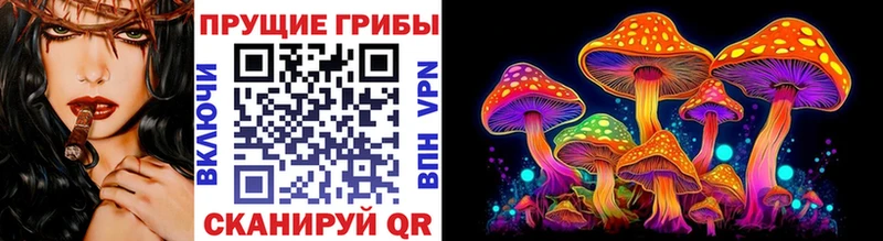 MEGA как войти  Татарск  Псилоцибиновые грибы MAGIC MUSHROOMS 