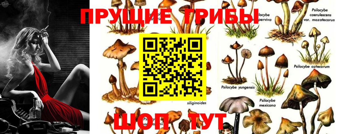 Псилоцибиновые грибы MAGIC MUSHROOMS  Вход с VPN  Татарск 