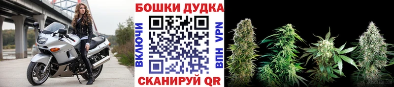 Бошки марихуана VHQ  купить закладку  Татарск 
